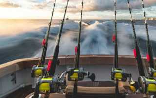 Ловля красноперки весной на поплавочную удочку