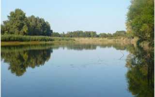 Рыбалка на Ахтубе в сентябре