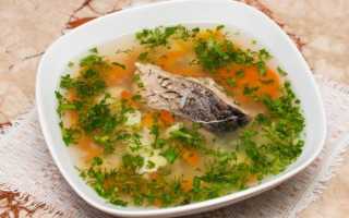 Уха из сазана — обалденный рецепт, покоряющий необычайным вкусом