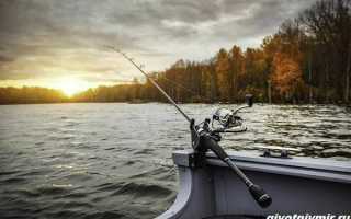 Лучшие лодки ПВХ