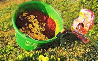 Карась в начале лета или как рыбачить с поплавочной удочкой