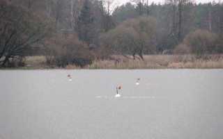 Жерлицы своими руками: изготовление, тонкости и нюансы