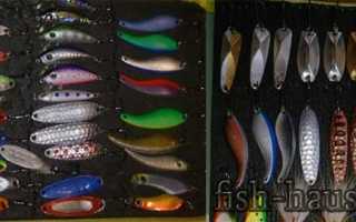 Как ловить крупного жереха на спиннинг: на что клюет, приманки и снасти