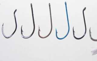 Леска для поплавочной удочки: виды, критерии выбора