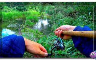 Ловля голавля осенью на спиннинг