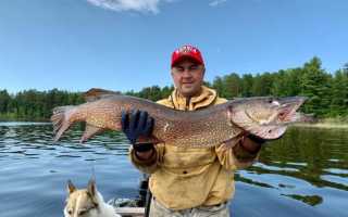 Рыбалка в Новосибирске и области: где лучшие места?