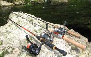 Секреты успешной рыбалки на море