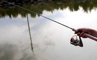 Ловля на микроджиг