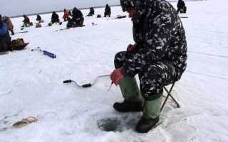 Ловля карася в дебрях половодья