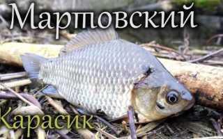 Рыбалка на поплавок весной