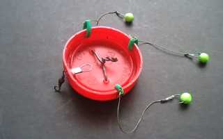 Оснастки на карася, 8 лучших типов