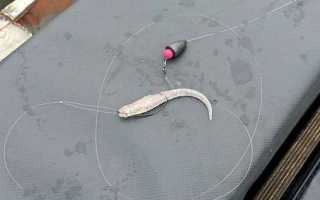 Оснастка для джиговой ловли