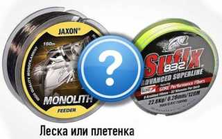 Ловля сазана на фидер