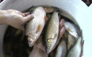 Рыбалка в Уфе