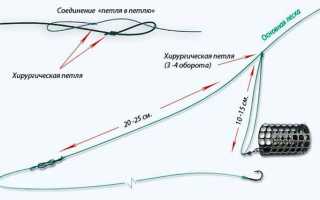 Ловля густеры весной на фидер