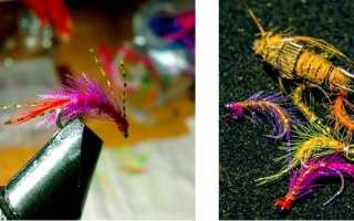 Рыба «Омуль арктический» фото и описание