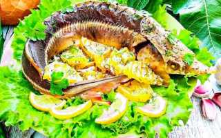 Блюда из стерляди