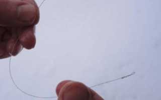 Как насадить живца на крючок