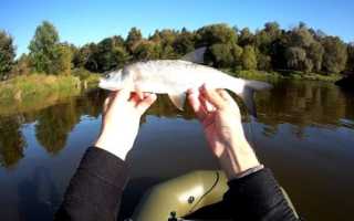 Рыбалка в Егорьевске и Егорьевском районе
