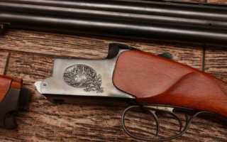 Особенности зимней охоты – от снаряжения до методов добычи