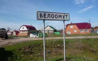 Рыбачим на оке — обзор уловистых мест и особенности рыбалки