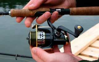 Недорогие безынерционные катушки для спиннинга