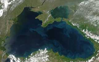Чего испугались черное море