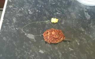 Как сделать прикормку для рыбалки в домашних условиях