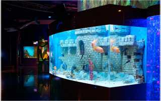 Где находится океан парк