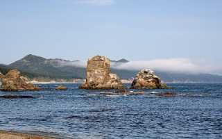 Особенности природы охотского моря таблица