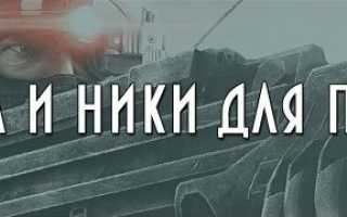 Ники для море воров