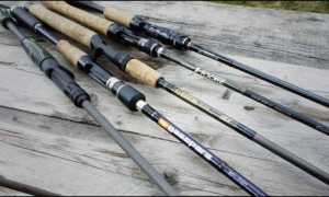 Что такое твичинг