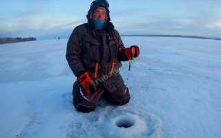 Ловля судака зимой