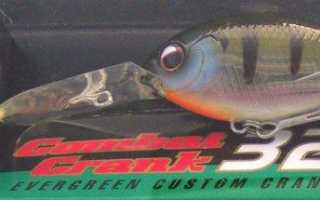 Кренки на щуку: классификация и особенности выбора