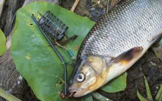 Техника ловли снастями