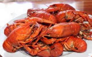 «Рак речной широкопалый» фото и описание