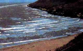 Климат азовского моря кратко