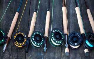 Техника ловли нахлыстом: выбор снасти для новичка и освоение забросов