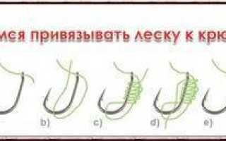 Как правильно вязать поводок к основной леске