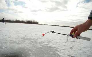 Донка на карася: устройство снасти и техника ловли