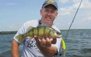 Рыбалка в Финляндии — лучшие места для ловли