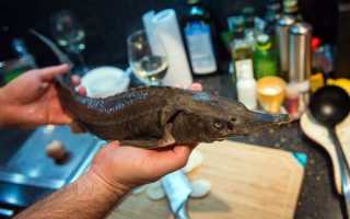 Разделка осетра