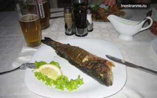 Рыба черное море болгария