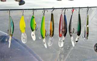 Ловля троллингом. Приманки для троллинга