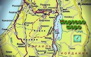 Мертвое море его фауна