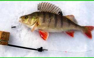 Зимняя рыбалка