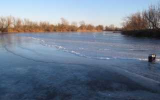 Ловля окуня по первому льду