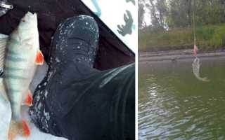 Способы ловли рыбы