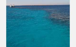 Почему море названо красным