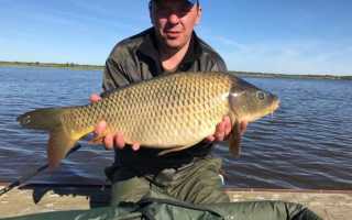 Платная рыбалка в подмосковье